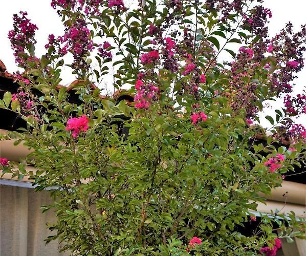 Estilo Luxury Lägenhet *